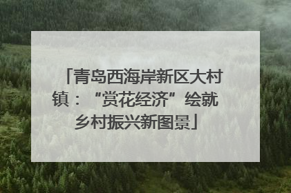 青岛西海岸新区大村镇：“赏花经济”绘就乡村振兴新图景
