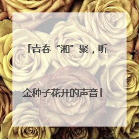 青春“湘”聚，听金种子花开的声音