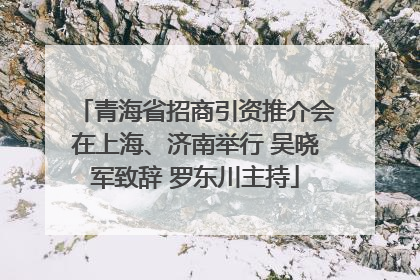 青海省招商引资推介会在上海、济南举行 吴晓军致辞 罗东川主持