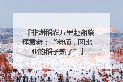 非洲稻农万里赴湘祭拜袁老：“老师，冈比亚的稻子熟了”