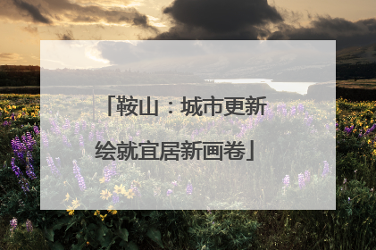 鞍山：城市更新绘就宜居新画卷