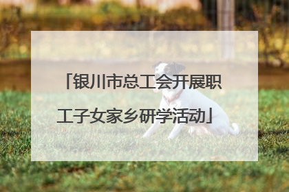 银川市总工会开展职工子女家乡研学活动