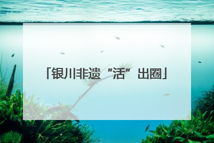 银川非遗“活”出圈