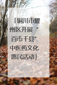 铜川市耀州区开展“百市千县”中医药文化惠民活动