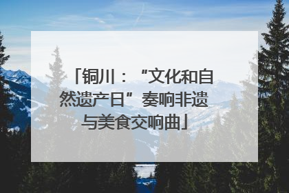 铜川：“文化和自然遗产日”奏响非遗与美食交响曲
