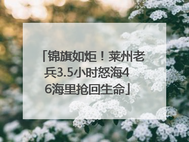 锦旗如炬！莱州老兵3.5小时怒海46海里抢回生命