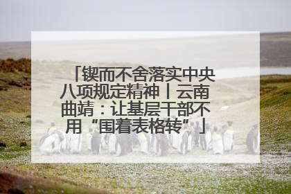 锲而不舍落实中央八项规定精神丨云南曲靖：让基层干部不用“围着表格转”