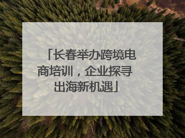 长春举办跨境电商培训，企业探寻出海新机遇