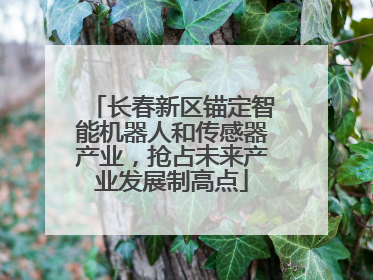 长春新区锚定智能机器人和传感器产业，抢占未来产业发展制高点