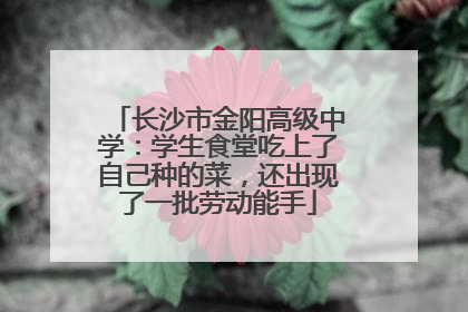 长沙市金阳高级中学：学生食堂吃上了自己种的菜，还出现了一批劳动能手