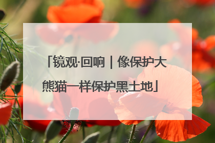 镜观·回响｜像保护大熊猫一样保护黑土地