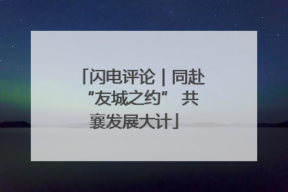 闪电评论｜同赴“友城之约” 共襄发展大计