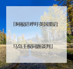 阿根廷呼吁英国重启马岛主权问题谈判