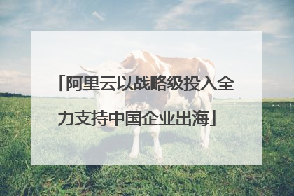 阿里云以战略级投入全力支持中国企业出海