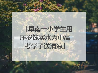 阜南一小学生用压岁钱买水为中高考学子送清凉