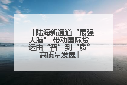 陆海新通道“最强大脑” 带动国际货运由“智”到“质”高质量发展