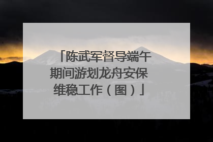 陈武军督导端午期间游划龙舟安保维稳工作（图）