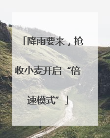 降雨要来，抢收小麦开启“倍速模式”
