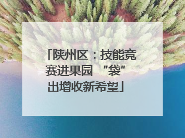 陕州区：技能竞赛进果园 “袋”出增收新希望