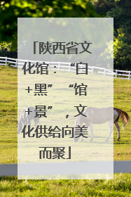 陕西省文化馆：“白+黑”“馆+景”，文化供给向美而聚