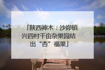 陕西神木：沙峁镇兴四村千亩杂果园结出“杏”福果