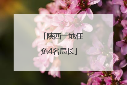 陕西一地任免4名局长
