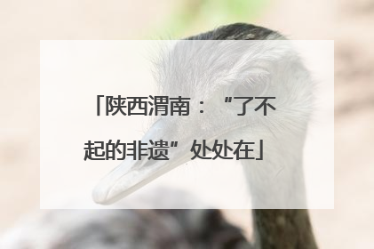 陕西渭南：“了不起的非遗”处处在