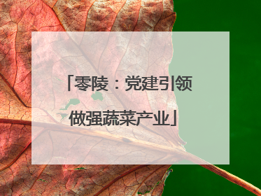 零陵：党建引领 做强蔬菜产业
