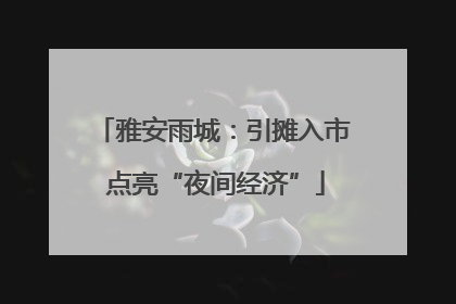 雅安雨城：引摊入市 点亮“夜间经济”