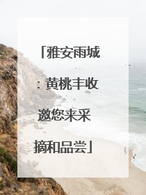 雅安雨城：黄桃丰收 邀您来采摘和品尝
