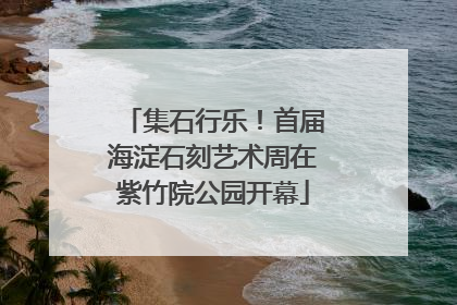 集石行乐！首届海淀石刻艺术周在紫竹院公园开幕