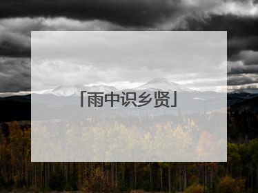 雨中识乡贤
