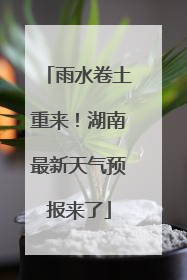 雨水卷土重来！湖南最新天气预报来了