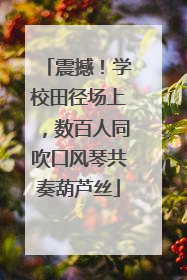 震撼！学校田径场上，数百人同吹口风琴共奏葫芦丝