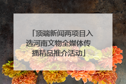 顶端新闻两项目入选河南文物全媒体传播精品推介活动