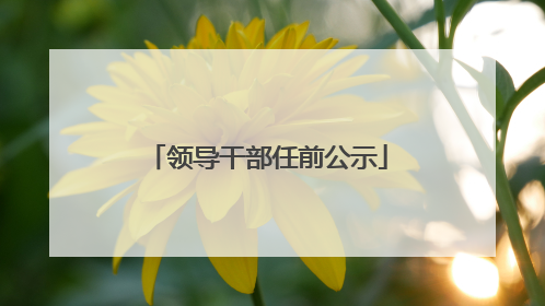 领导干部任前公示