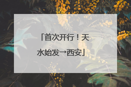 首次开行！天水始发→西安