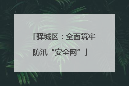 驿城区：全面筑牢防汛“安全网”