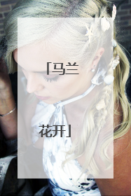 马兰花开