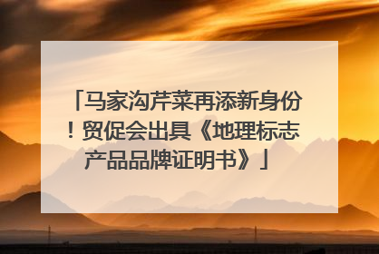 马家沟芹菜再添新身份！贸促会出具《地理标志产品品牌证明书》