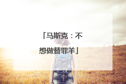 马斯克：不想做替罪羊