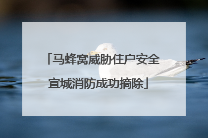 马蜂窝威胁住户安全 宣城消防成功摘除