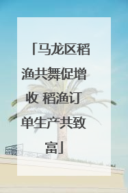 马龙区稻渔共舞促增收 稻渔订单生产共致富