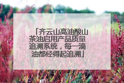 齐云山高油酸山茶油启用产品质量追溯系统，每一滴油都经得起追溯