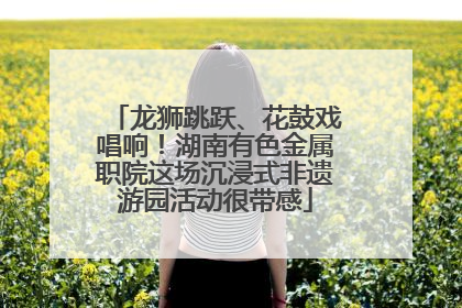 龙狮跳跃、花鼓戏唱响！湖南有色金属职院这场沉浸式非遗游园活动很带感