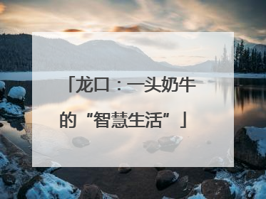 龙口：一头奶牛的“智慧生活”