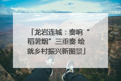 龙岩连城：奏响“稻薯烟”三重奏 绘就乡村振兴新图景