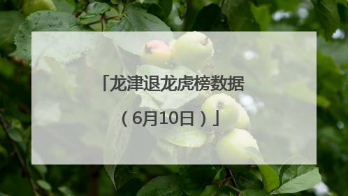 龙津退龙虎榜数据（6月10日）