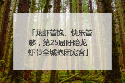 龙虾管饱、快乐管够，第25届盱眙龙虾节全城抱团宠客