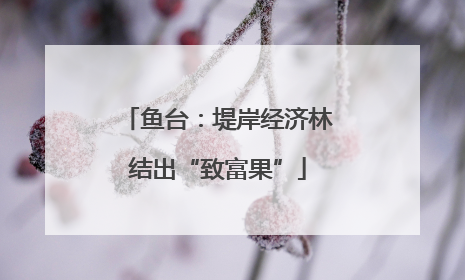 鱼台：堤岸经济林结出“致富果”